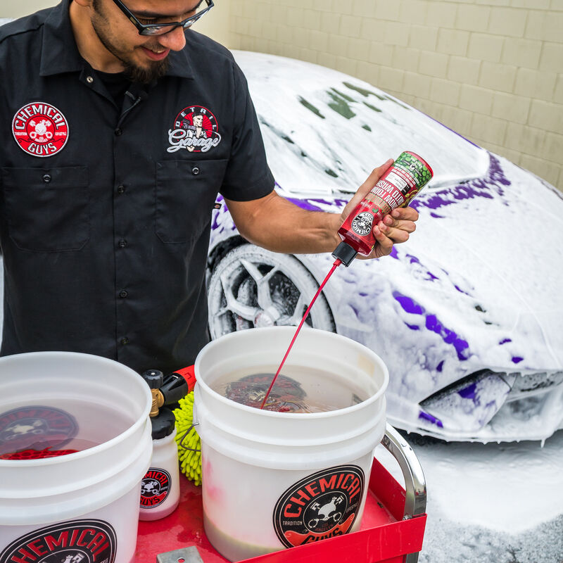 Chemical Guys Watermelon Snow Foam Auto Wash 473ml (16oz)